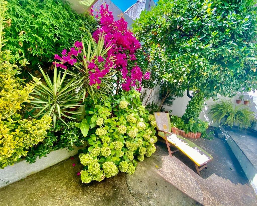 Patio Da Laranjeira Apartment Tomar Exterior photo
